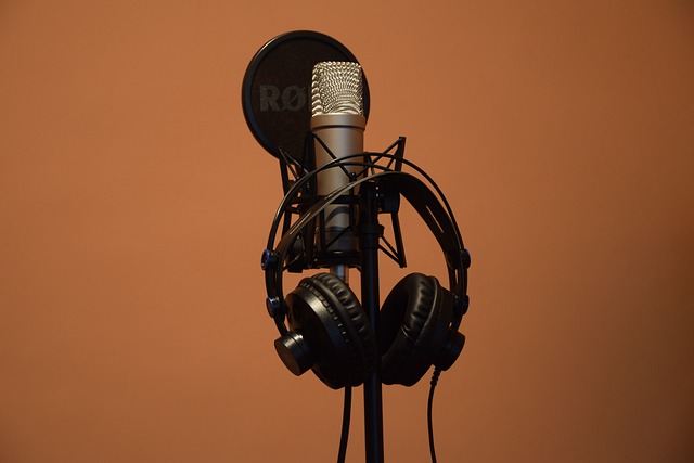 Cómo elegir la voz adecuada para tu marca